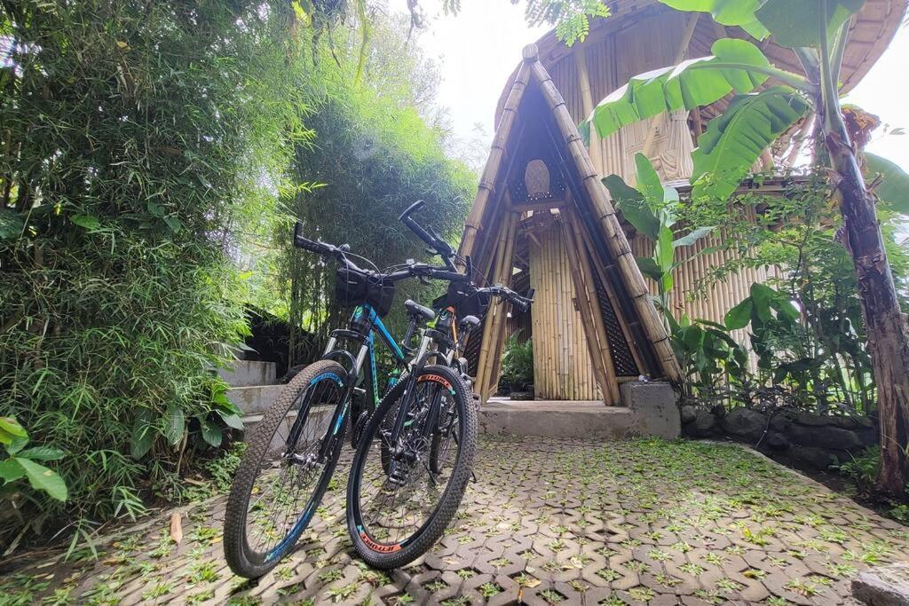 Вилла The Nude House Selat Экстерьер фото